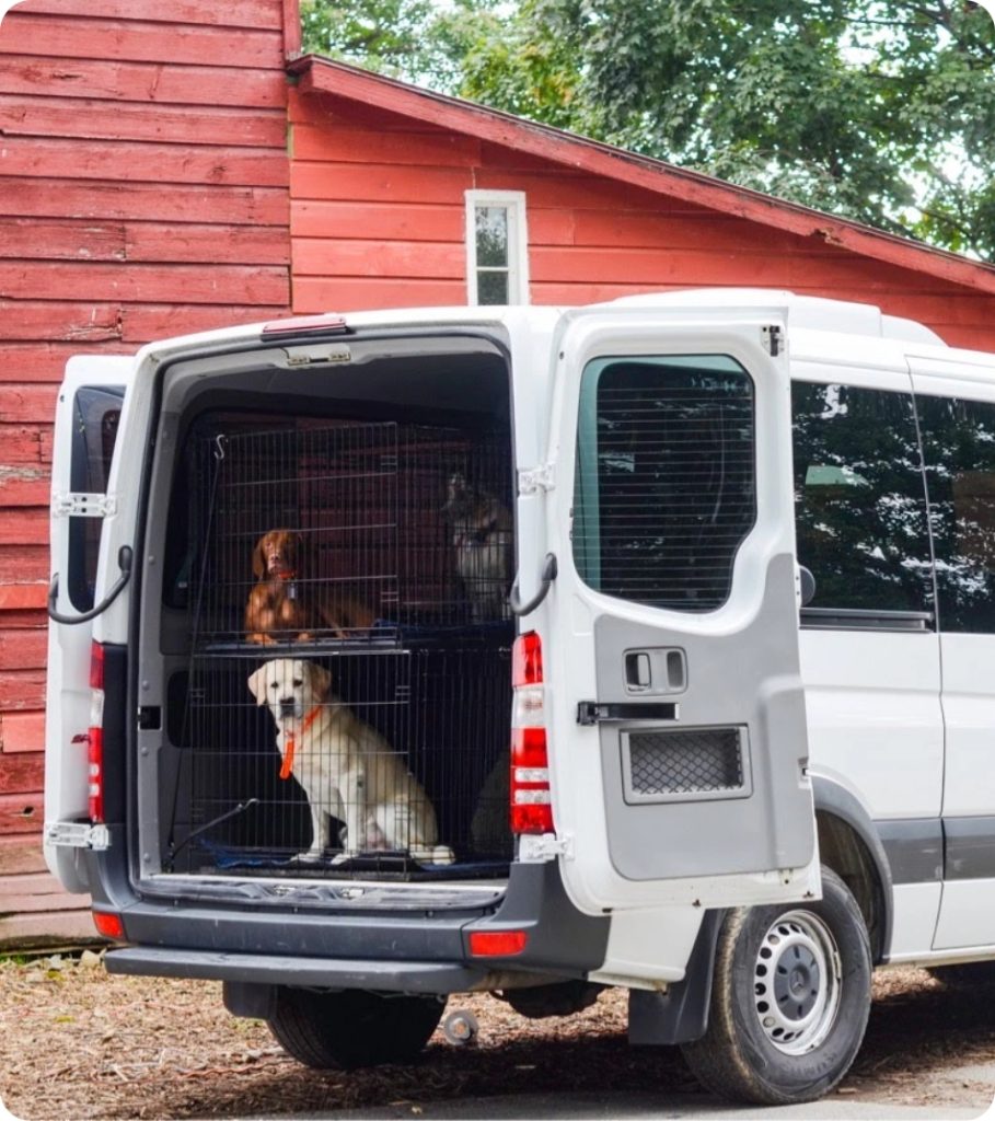 Our Sprinter Van for delivering dogs and food for dogs